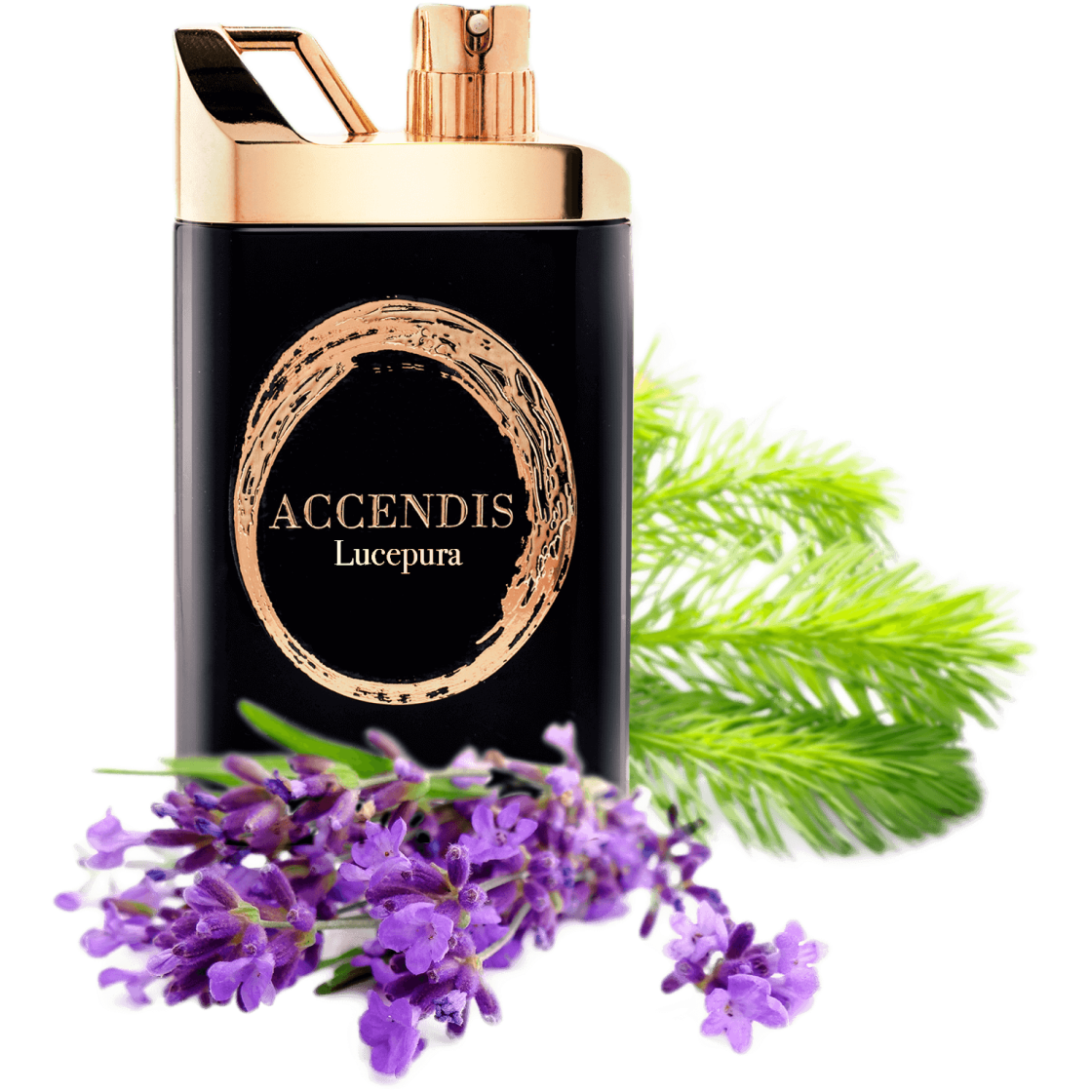 ACCENDIS - Neeche Store