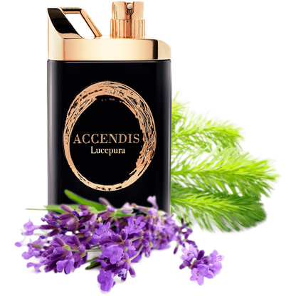 ACCENDIS - Neeche Store