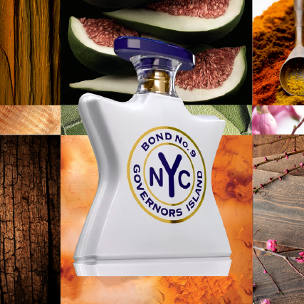 GOVERNORS ISLAND neeche store