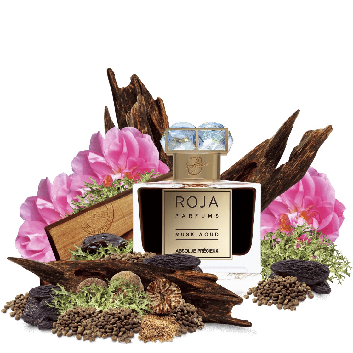 MUSK AOUD ABSOLUTE PRECIEUX - neeche-store